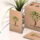 Myths versus Facts: Dispelling 4 Myths about Using Sustainable Packaging in a Business