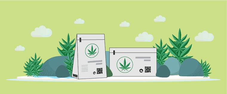 Making Cannabis Even Greener Through Sustainable Packaging